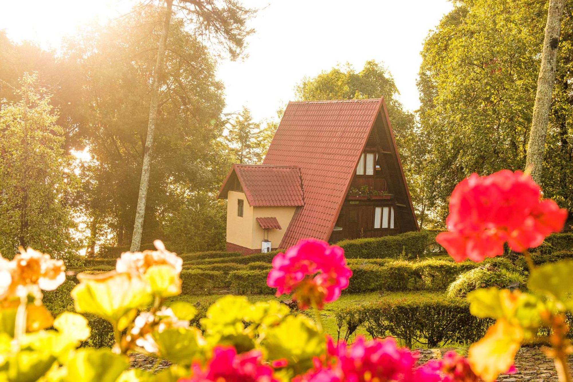 Zirahuen Forest And Resort Екстериор снимка