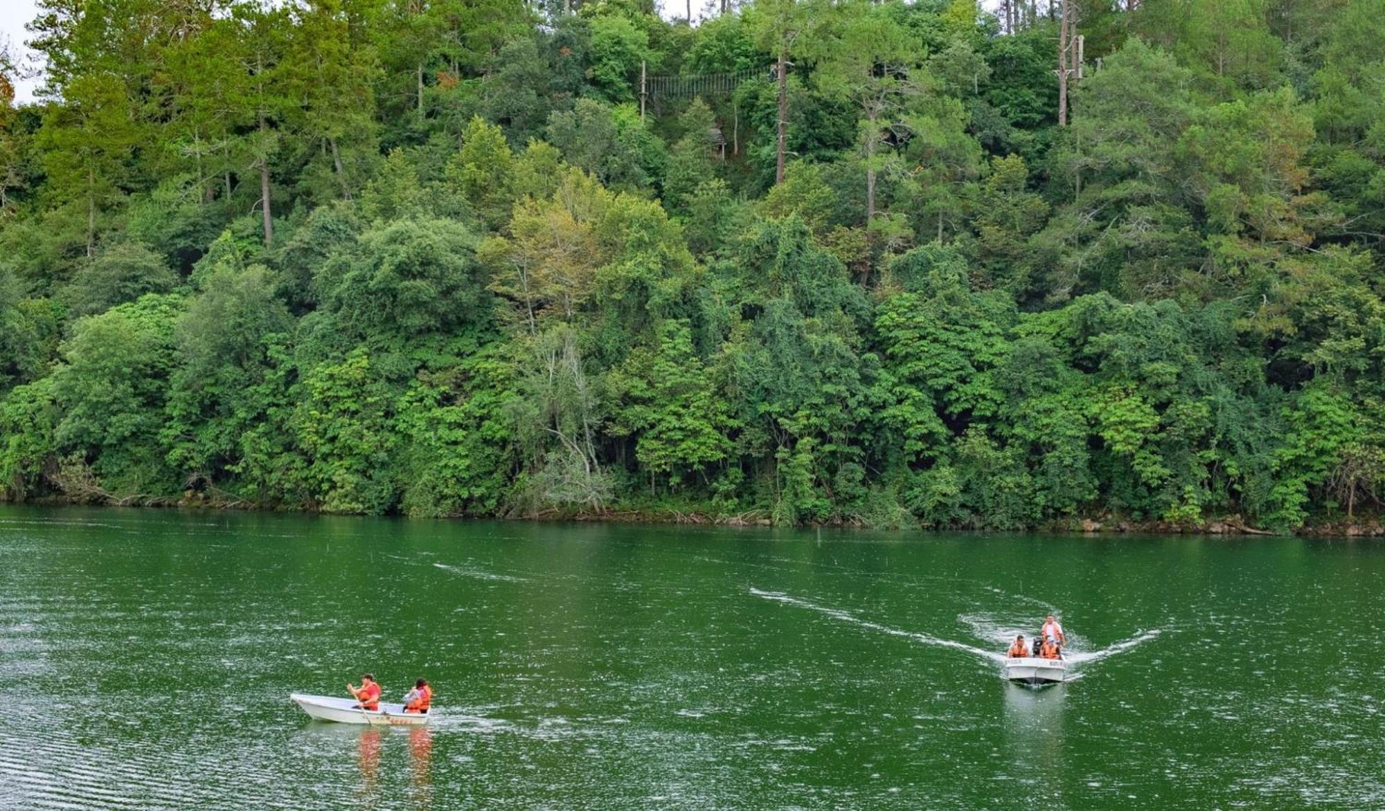 Zirahuen Forest And Resort Екстериор снимка