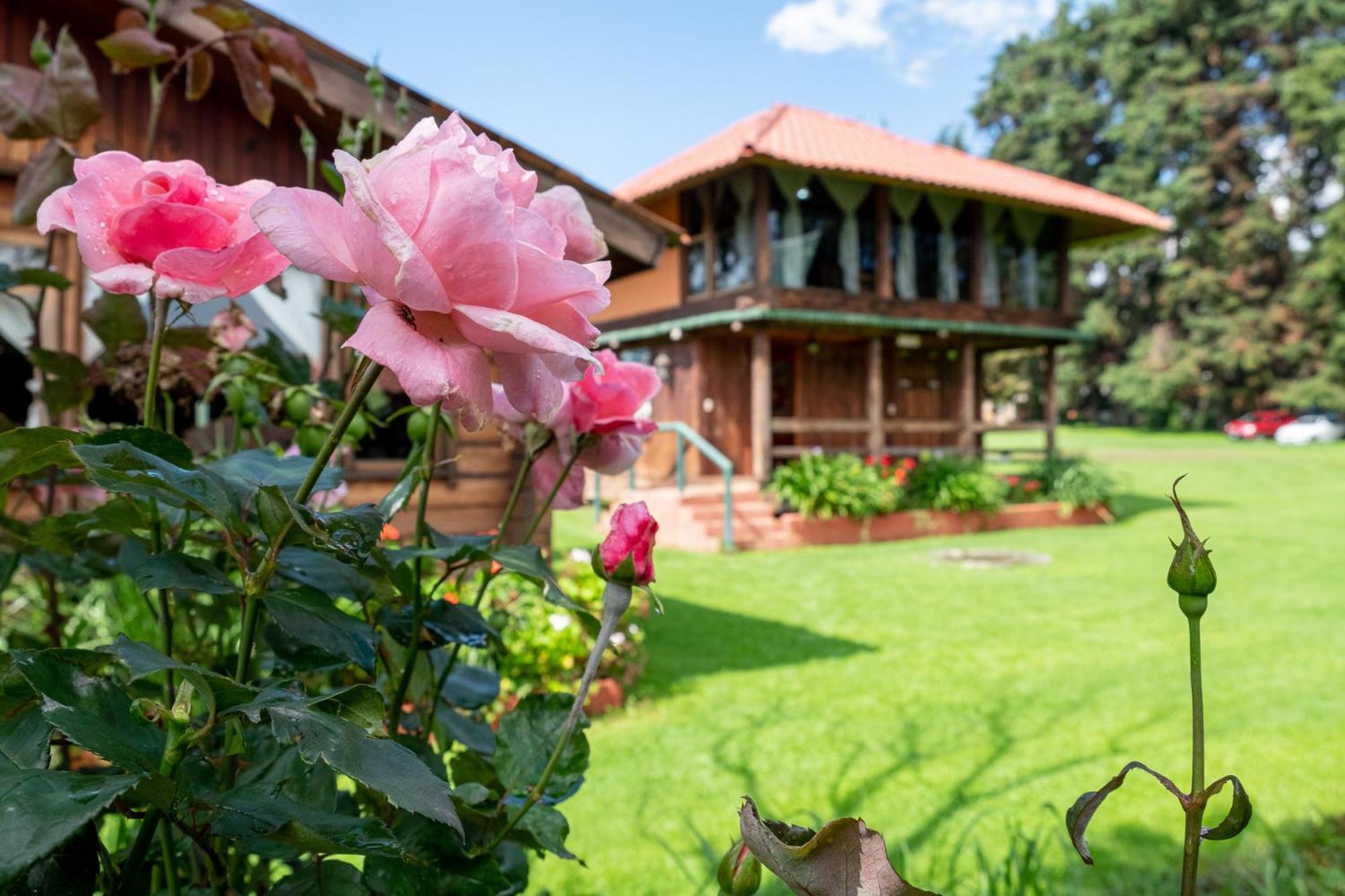 Zirahuen Forest And Resort Екстериор снимка